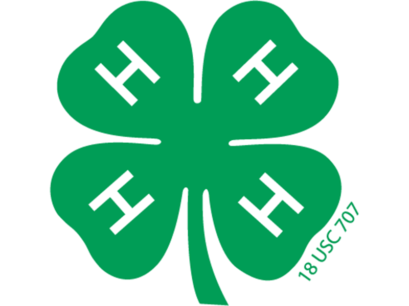 Fair Logo